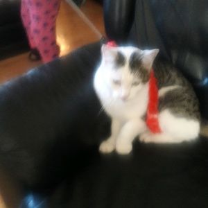 Meet your Posher, Lisa